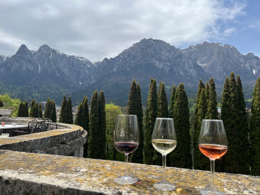 Peles & Cantacuzino Castles: Gourmet Wine & Cultural trip - Romanian cuisine in the mix: what you get besides wine