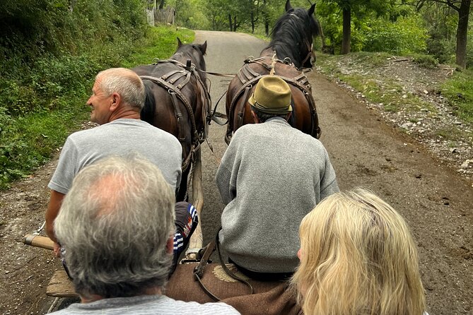 Peles castle and authentic Romanian village experience - day trip - From Bucharest pickup to University Square and Parliament views