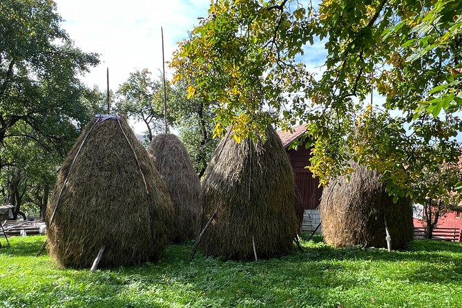 Peles castle and authentic Romanian village experience - day trip - Barajul Paltinu: a green lake stop for photos in the forest