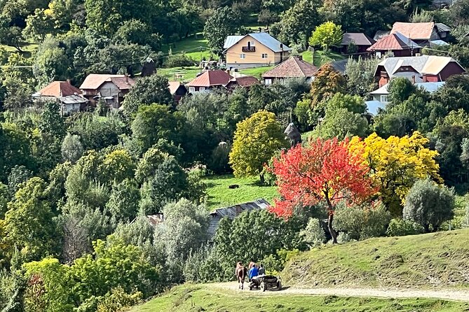 Peles castle and authentic Romanian village experience - day trip - Timing, walking, and what to bring for a 12-hour day