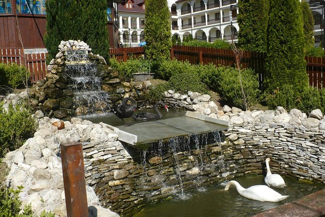 Peles Castle and optional Cantacuzino Castle from Brasov - A fast royal circuit from Brasov