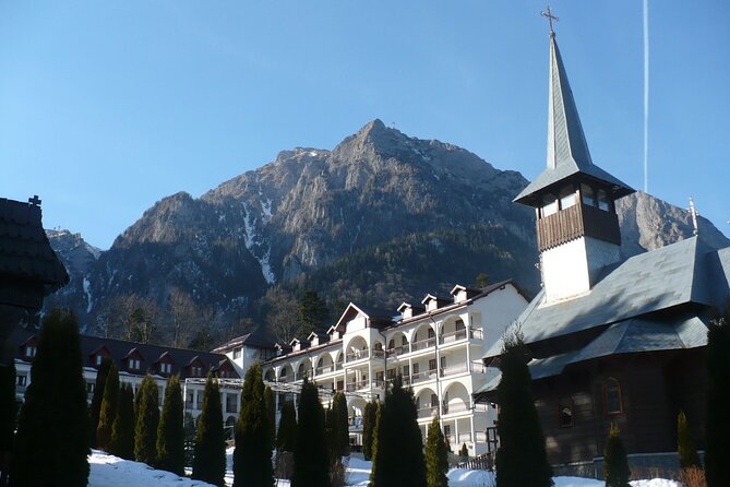 Peles Castle and optional Cantacuzino Castle from Brasov - Timing, comfort, and how to make the 5 to 7 hours work