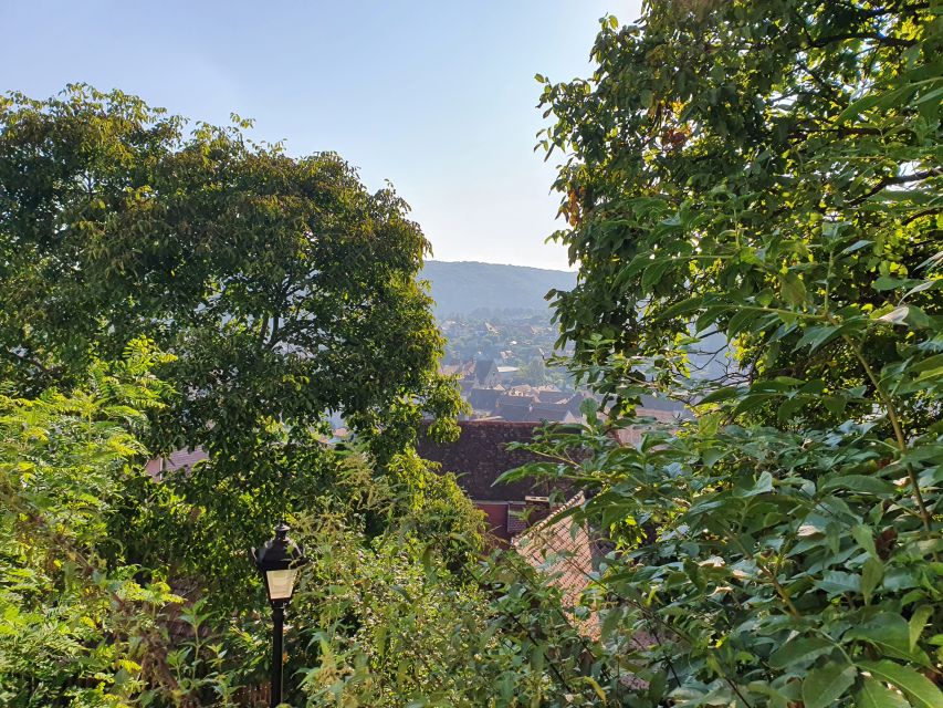 Peleș Castle, Bran Castles and Brasov City - Private Tour - Brasov City Tour: Gothic and Baroque Streets Plus Mountain Air