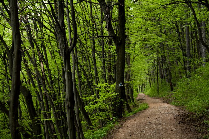 Perfect bike tour around Brasov - Key highlights you should care about