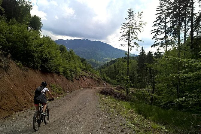 Perfect bike tour around Brasov - Price and value: $178.27 per person, what you actually get