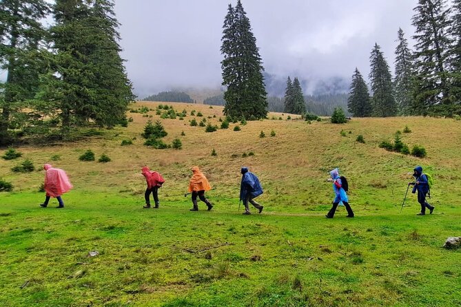 Pestera and Magura Full-Day Private Walking Tour from Brasov - Why Pestera and Magura feel like a real day in the Romanian mountains