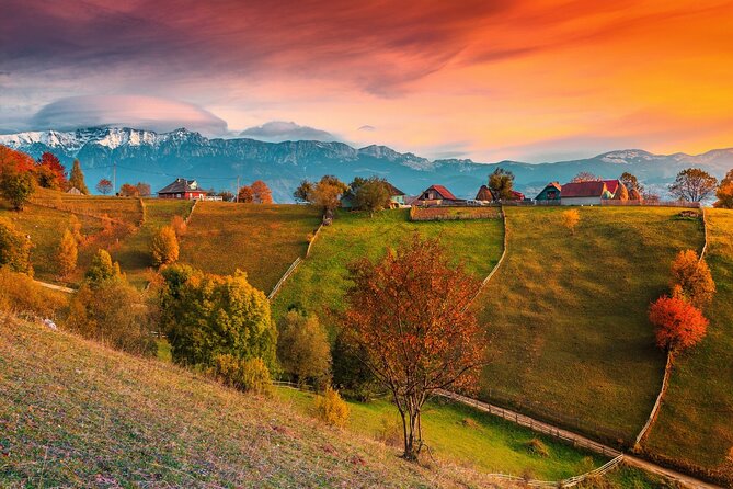 Pestera and Magura Full-Day Private Walking Tour from Brasov - Stop 1: Pestera Village, a protected-life walk with mountain-range views