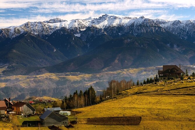 Pestera and Magura Full-Day Private Walking Tour from Brasov - Trail conditions and fitness: what moderate really means on this route