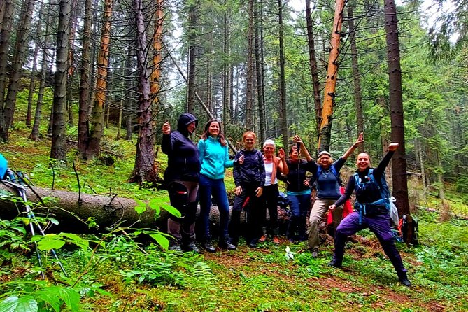 Pestera and Magura Full-Day Private Walking Tour from Brasov - What to bring: boots, water, rain gear, and tick protection