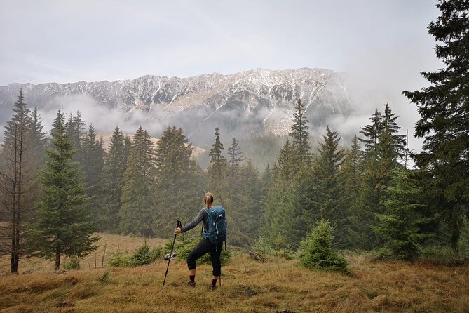 Pestera and Magura Full-Day Private Walking Tour from Brasov - Guide and private-group advantage, from conversation to pace