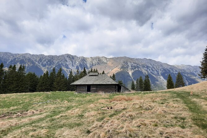 Pestera and Magura Full-Day Private Walking Tour from Brasov - Price and value: is $103.45 per person reasonable for this day?