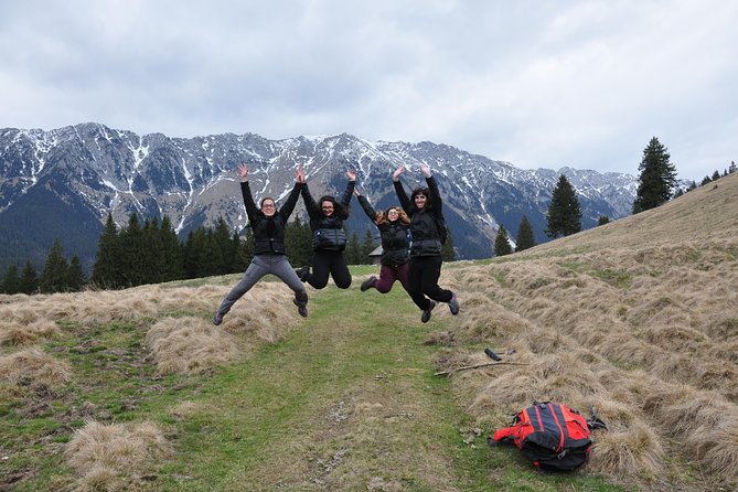 Piatra Craiului National Park Private Hiking Tour from Brasov - Piatra Craiului Makes a Strong Brasov Day Trip