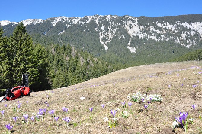 Piatra Craiului National Park Private Hiking Tour from Brasov - The Trail Highlights: Gorges, Forests, Pastures, and Shepherd Life