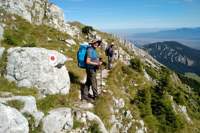 Piatra Craiului National Park Private Hiking Tour from Brasov - Optional Bran Castle: Dracula Legend, Gothic Halls, and a Time Check