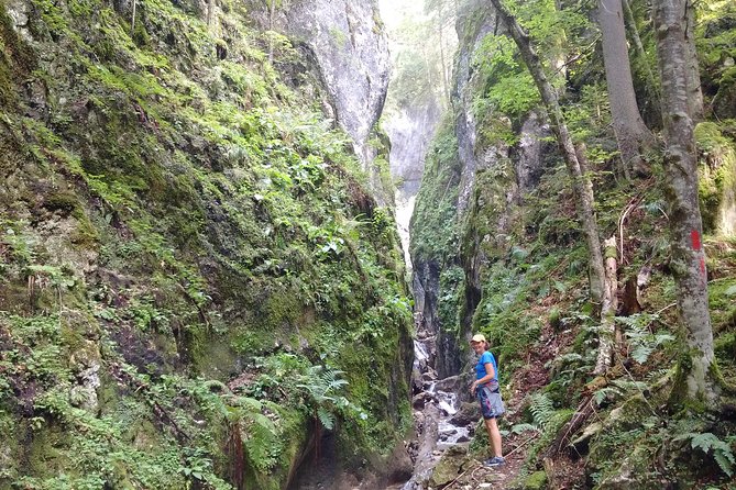 Piatra Craiului National Park Private Hiking Tour from Brasov - Value and Price: What $126.98 Covers (and What It Does Not)