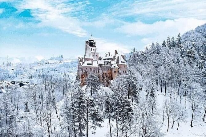 Premium 8-Day Private Culinary Vacation in Romania - The wine leg near Ceptura and Buzau: meeting vintners and tasting Romanian reds