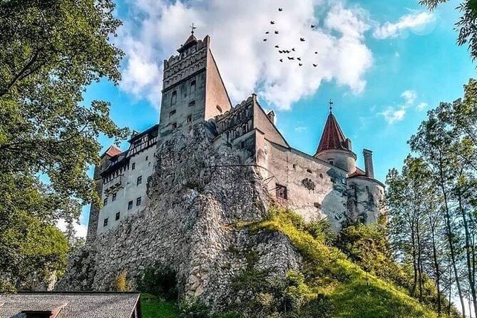 Premium 8-Day Private Culinary Vacation in Romania - Obor Market: where you’ll taste Romania before the castles
