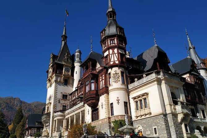 Private 5-Day Tour in Transylvania from Bucharest Hotel Pick-up and Drop off - Day 2: Bear Sanctuary, Viscri fortified church, and UNESCO Sighisoara