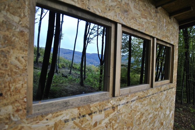 Private Brown Bear Watching Experience near Odorheiu Secuiesc - Carpathian Bear Watching From Cristuru Secuiesc