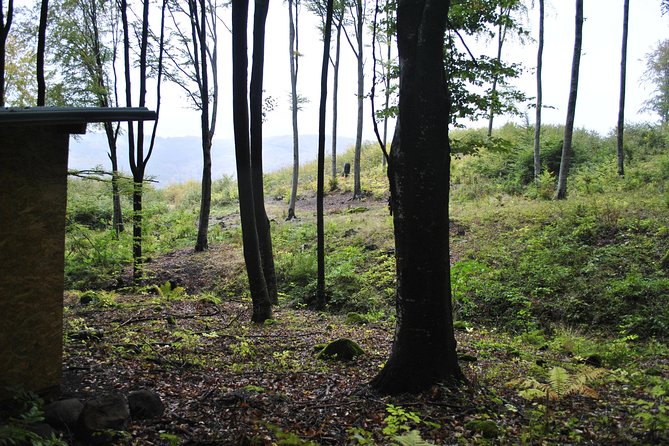 Private Brown Bear Watching Experience near Odorheiu Secuiesc - Getting There: Pickup Times and Why Sunset Matters