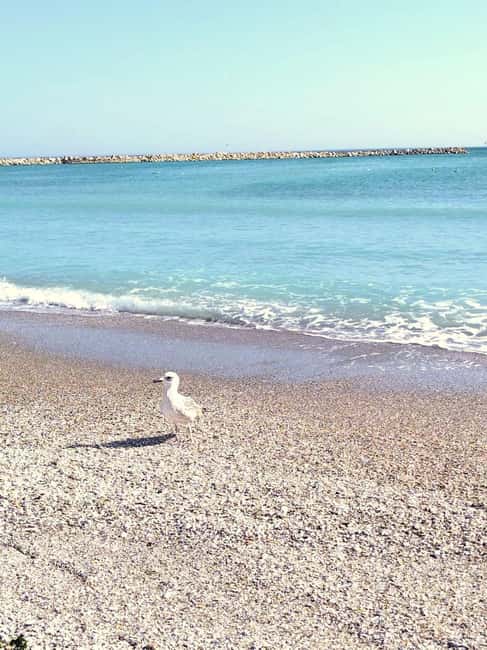Private Bucharest Tour: Discover Constanța & Black Sea Coast - Mamaia Beach, the Pearl of the Black Sea: where the day turns relaxing