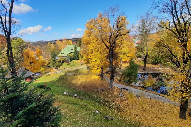Private Day Tour in Transylvania, Peles and Bran Castles from Brasov - Should You Book This Peles and Bran Private Day Tour?
