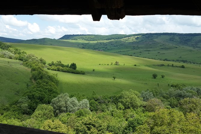 Private Day Tour Sighisoara and Viscri from Brasov with Hotel Pick Up/ Drop Off - Stop 2 in Sighisoara: Medieval Center and Vlad the Impaler Sites