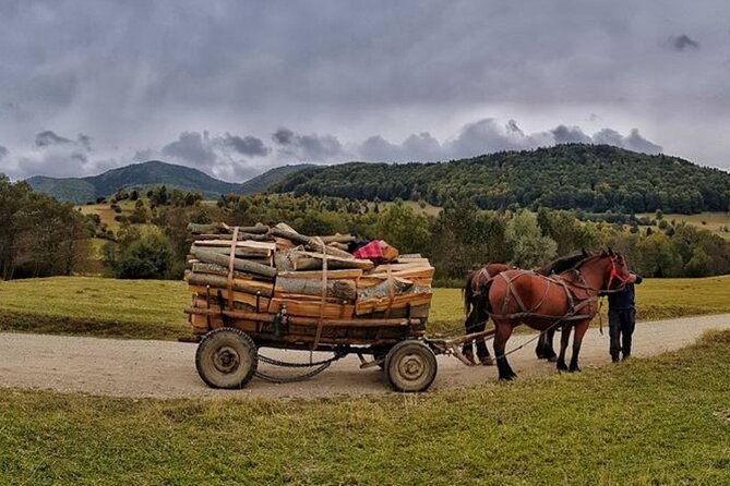 Private Day Tour to Historical Villages in Sinaia - Price, inclusions, and where the value really comes from
