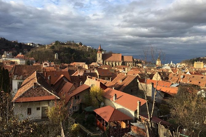 Private Day Tour - Transylvania & Dracula's Castle Through The BackDoor! - Morning Pickup From Bucharest and the Transport Reality