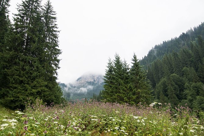Private Daytrip Hike to Bucegi Mountains - From Bucharest to the Bucegi Mountains: Why This Works