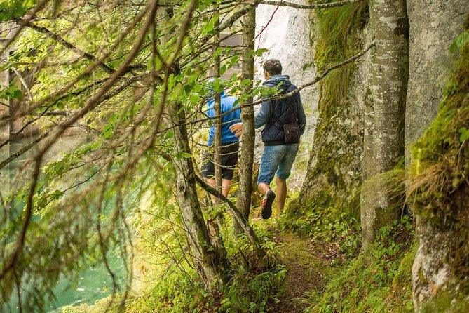 Private Daytrip Hike to Bucegi Mountains - Pickup and Transport: The Practical Side