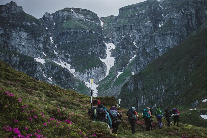 Private Hiking to Bucegi Natural Park from Brasov - Key highlights you will care about