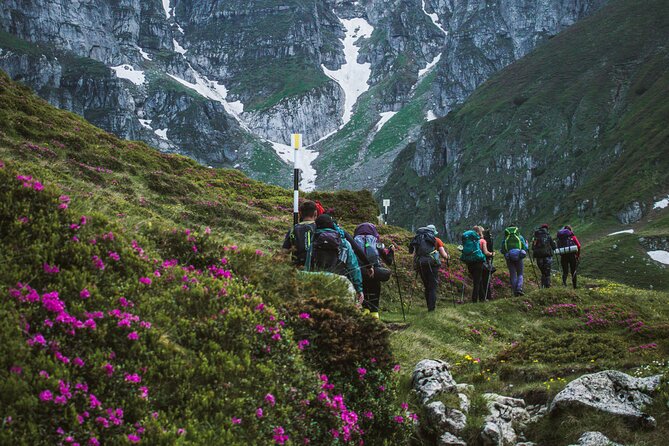 Private Hiking to Bucegi Natural Park from Brasov - The descent: 4:30 pm start and making it feel easy