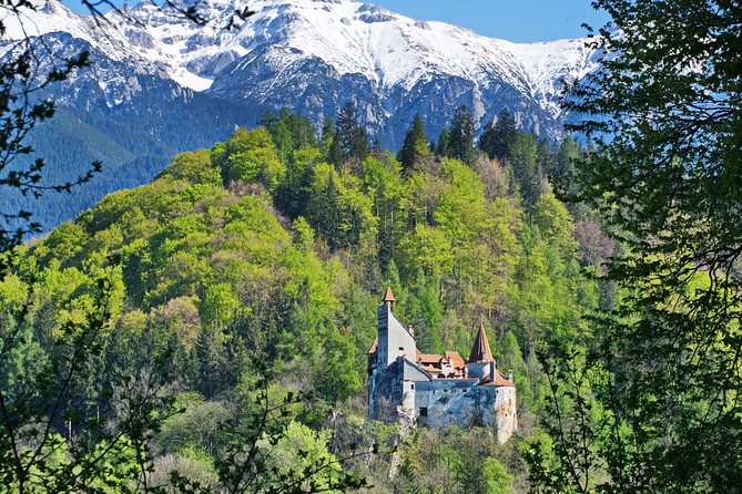 Private Movie Castles at Peles, Cantacuzino and Bran Castle Tour - Key highlights at a glance