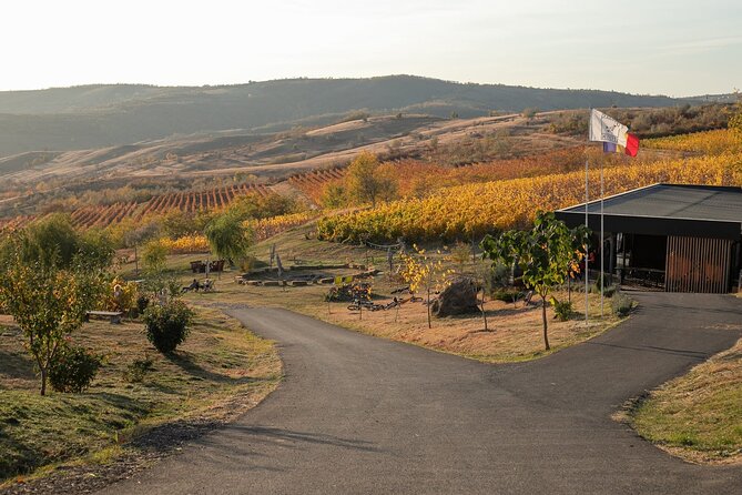 Private Tasting Expedition Along Romania’s Most Famous Wine Route - Key things worth knowing before you go