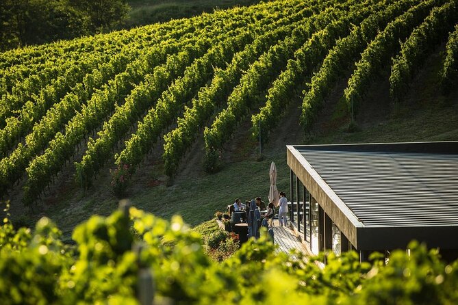 Private Tasting Expedition Along Romania’s Most Famous Wine Route - Private by design: your group, your pace, fixed tasting stops