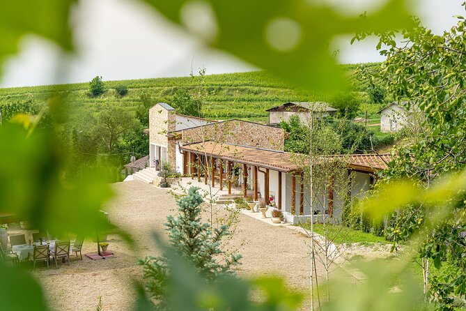 Private Tasting Expedition Along Romania’s Most Famous Wine Route - The driving conversation: history you can taste later