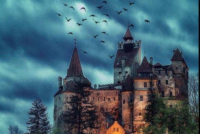 Private tour to Bran Dracula's Castle and Peleș Royal Castle - A 10-hour day is long, so use the comfort well