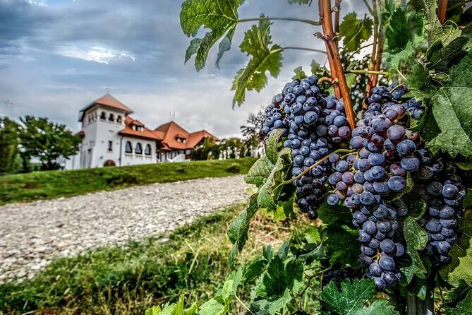 Private Tour to Salt Mine, Lunch at Winery and Dracula Grave - Who this tour suits best (and who might want to adjust expectations)