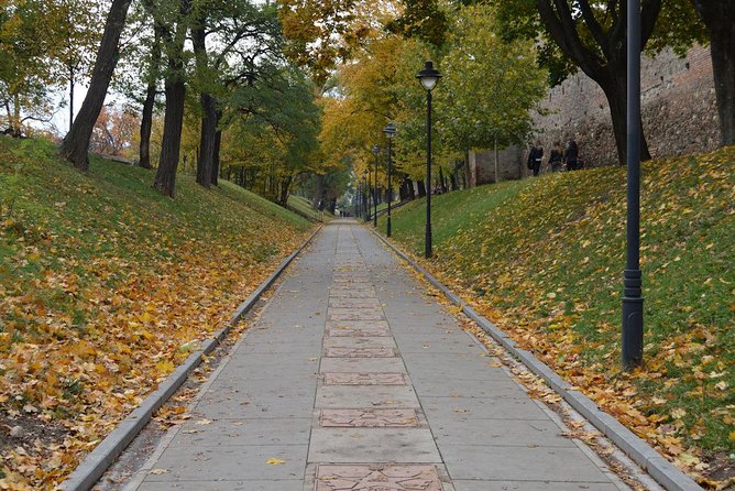Private Walking Tour of Sibiu - Piata Mare (Big Square) and the first museum in Romania