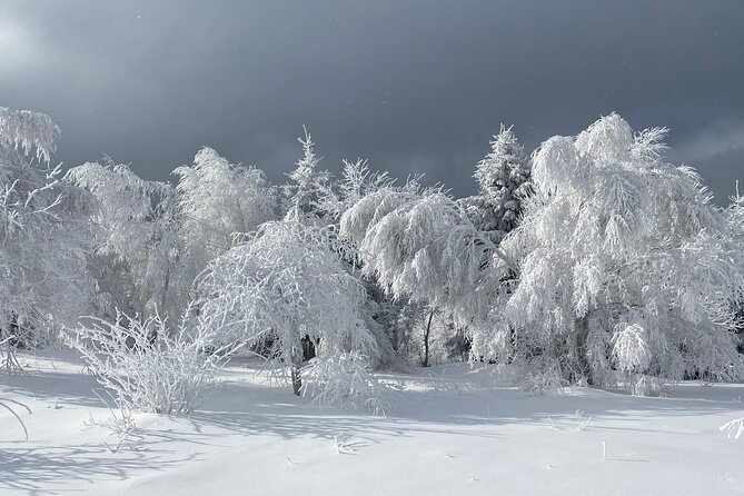 Rambling in Transylvania - A small-group village hike that feels like real Transylvania