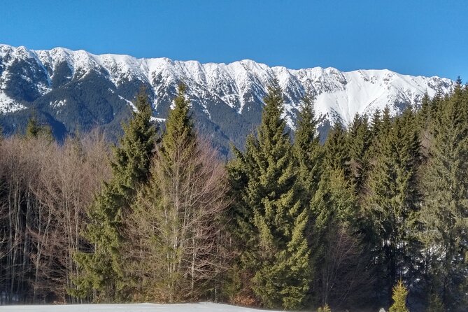 Rambling in Transylvania - Piatra Craiului National Park: the 10-12 km hike (and what to expect)