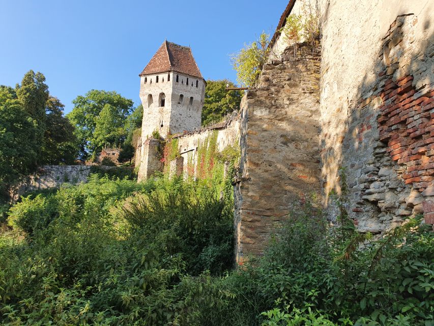 Real Dracula Princely Court and Real Dracula's Fortress - Curtea de Argeș: monastery, royal church setting, and the Wallachian court ruins