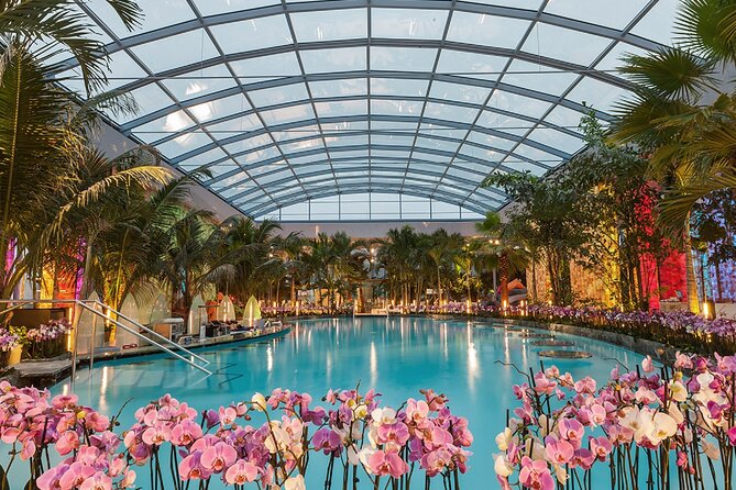 Relax and Fun at Thermal Spa Bucharest (Admission Ticket) - Key highlights you’ll feel fast