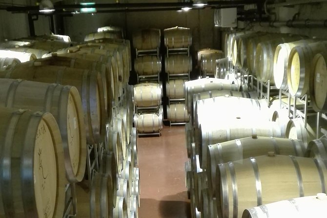 Salt Mine & Mud Volcanoes - LacertA Winery for a private tasting with production focus