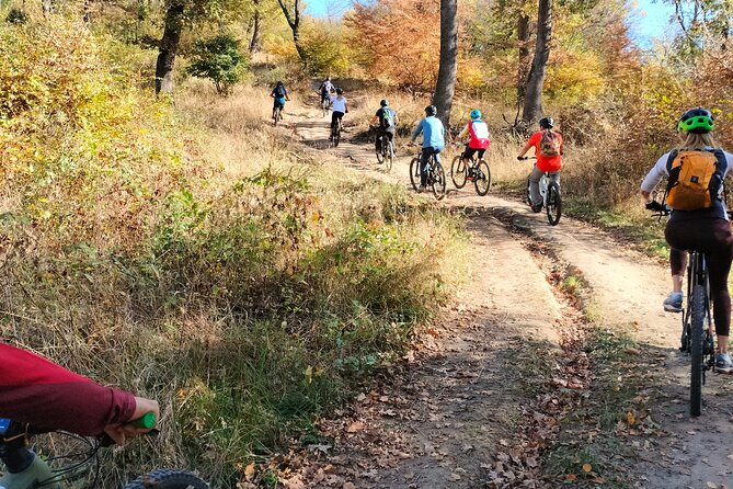 Sambata de Sus: E-Bike Guided Tours - Key reasons this e-bike tour works so well
