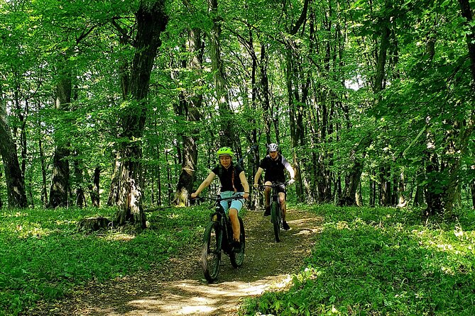 Sambata de Sus: E-Bike Guided Tours - Sâmbăta de Sus e-biking: what the half-day really feels like