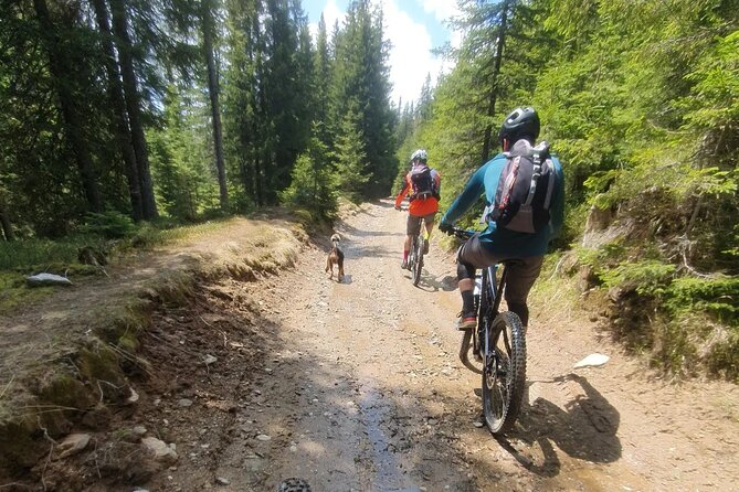 Sambata de Sus: E-Bike Guided Tours - Price and value: is $117.75 per person a fair deal?