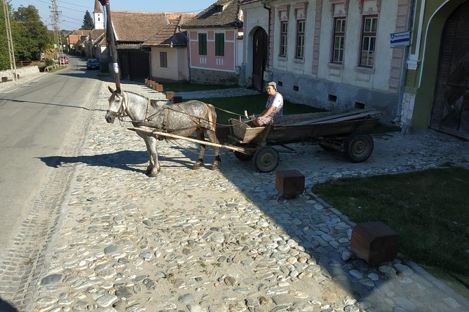 Saxon Heritage in Transylvania: Day Trip from Cluj-Napoca - What you actually pay for: value of tickets and included drinks