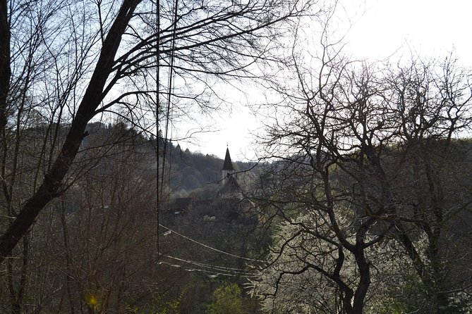 Saxon Heritage in Transylvania: Day Trip from Cluj-Napoca - Guide quality can make or break the day